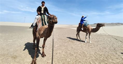 Transfer to Camel Ride