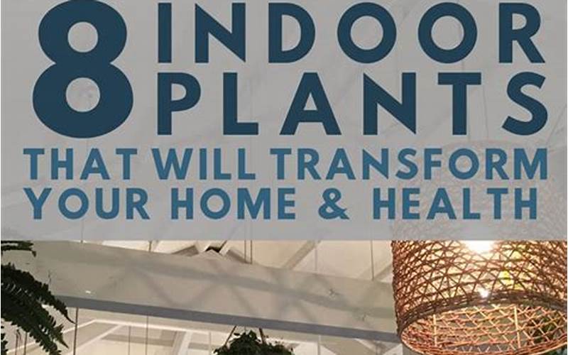 Transform Your Home Into A Garden Of Health With These Plants