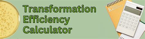 Transformation Efficiency Calculator