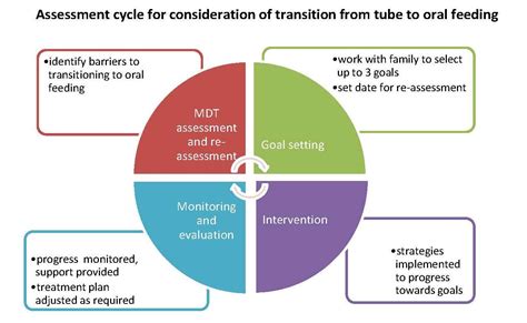 Transitioning and Feeding Guidelines