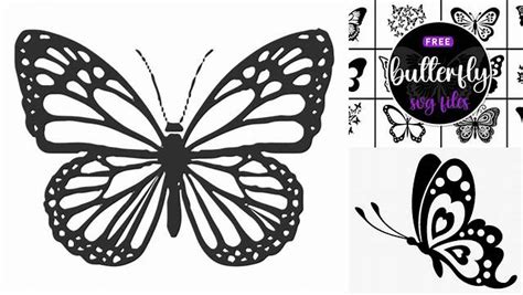Unleashing the Magic: Uncover the Charm of Transparent Butterfly SVG for Free!