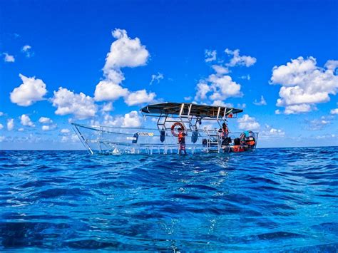 Transparent boat tour