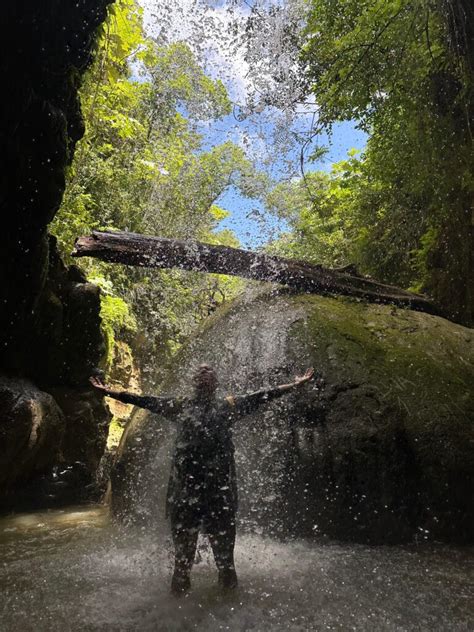 Transportation El Yunque Rainforest