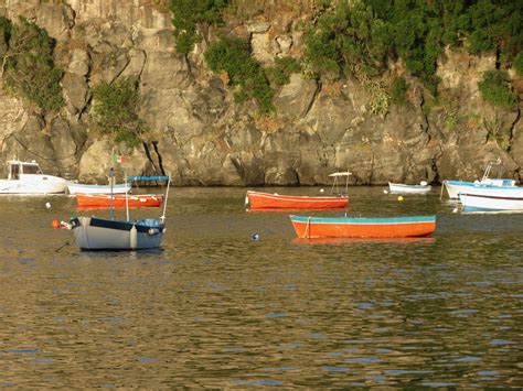 Transportation Ischia