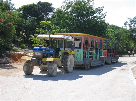 Transportation Logistics Tulum