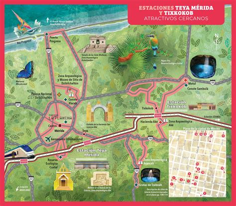 Transportation Options Merida Teya