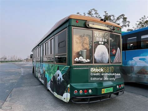 Transportation to Chengdu Panda Base