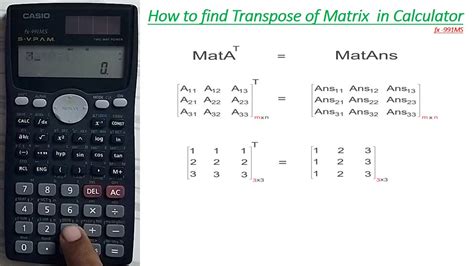 Transpose Matrix Calculator