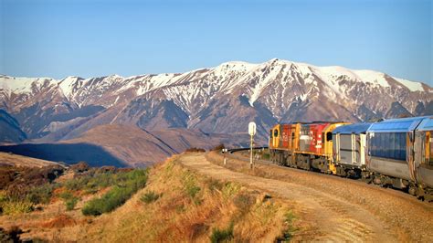 TranzAlpine Train: Franz Josef to Christchurch 1-Way Review