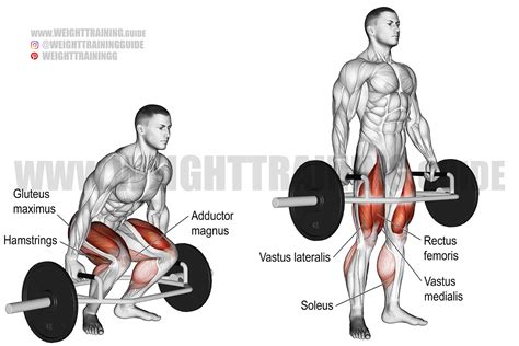 Trap Bar For Deadlifts