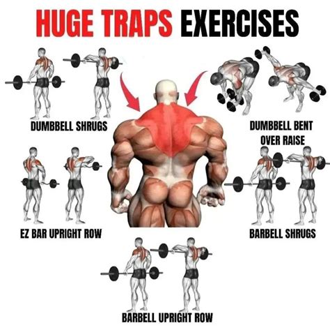 Trap Workout