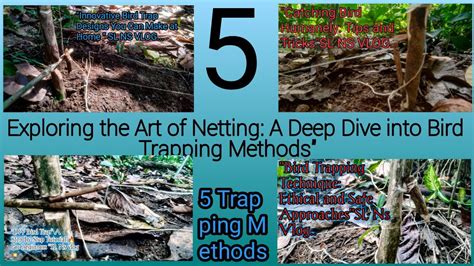 Trapping or Netting Methods