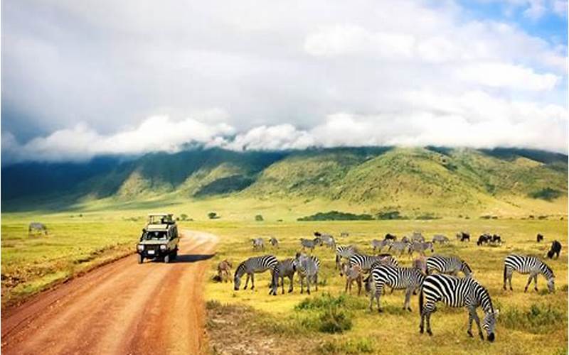 Travel In Tanzania