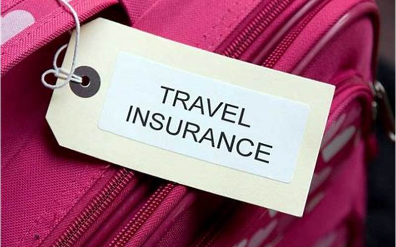 Travel Insurance Options