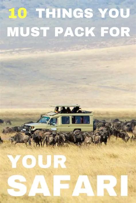 Travel Essentials Kenya