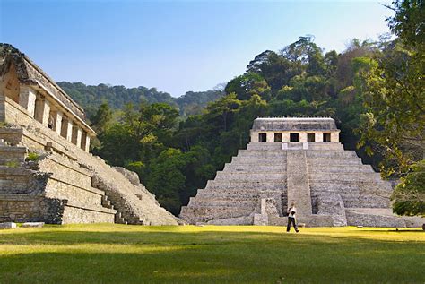 Travel Experiences Palenque
