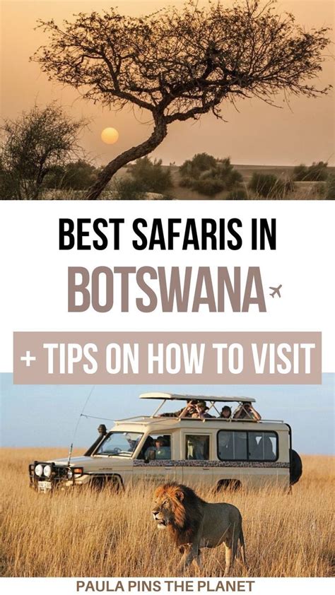 Travel Tips Botswana