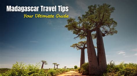 Travel Tips Madagascar