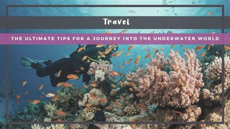 Travel Tips Underwater
