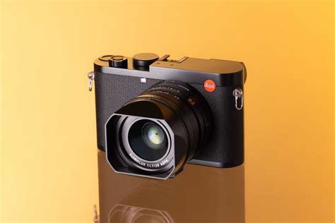 Traveler With Camera