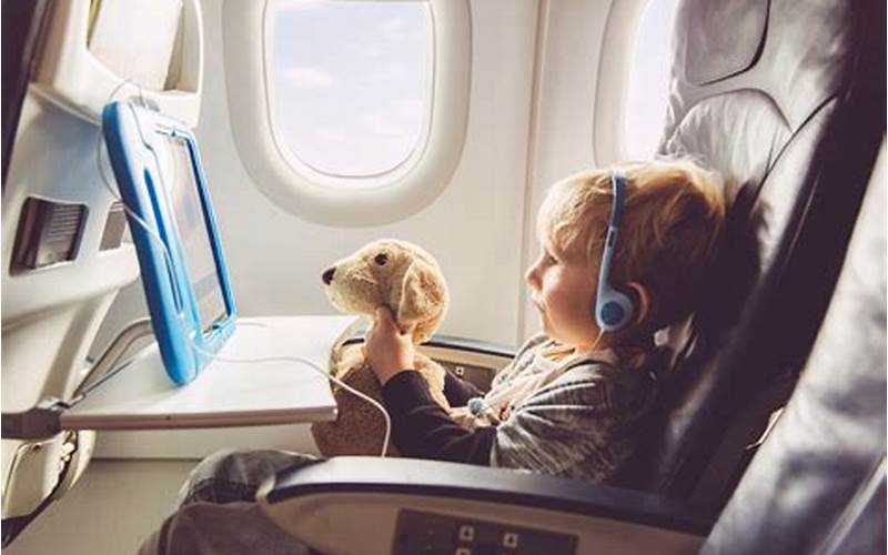 Traveling With Special Needs Pets