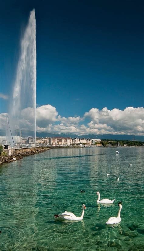 Travellers Geneva