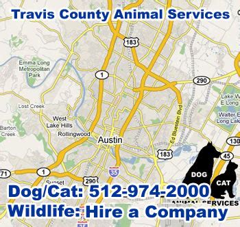 Discover the Expert Animal Control Services in Travis County for Your Furry Friends
