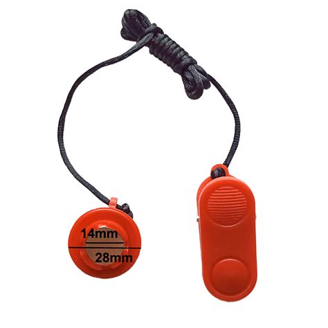 Treadmill Training Done Right (Safety First)