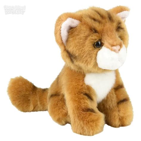 Treasure Tabby VIP Collection: 2026 Premium Content