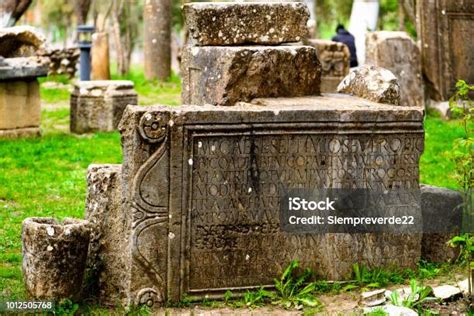 Treasures from Djemila