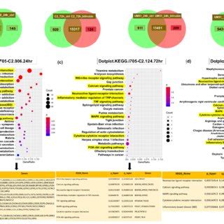 Treatment and Management: Distinct Pathways