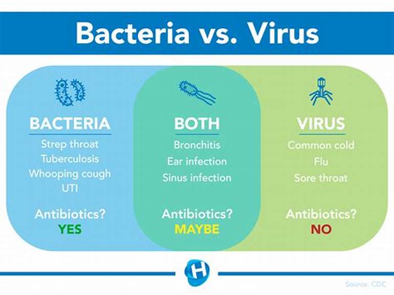 Treatment of Viruses and Bacteria