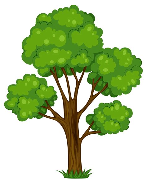kid tree clipart Clipground