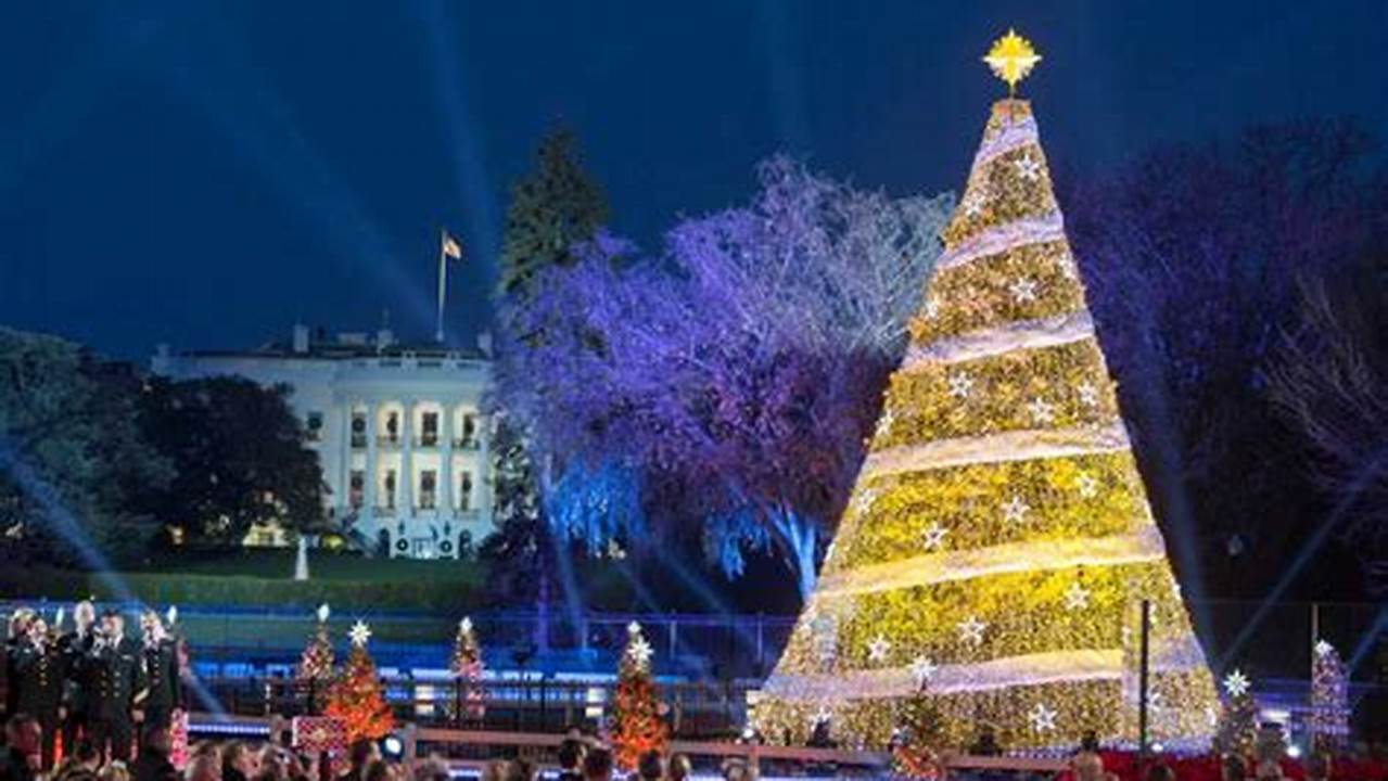 Tree Lighting Near Me Today 2024