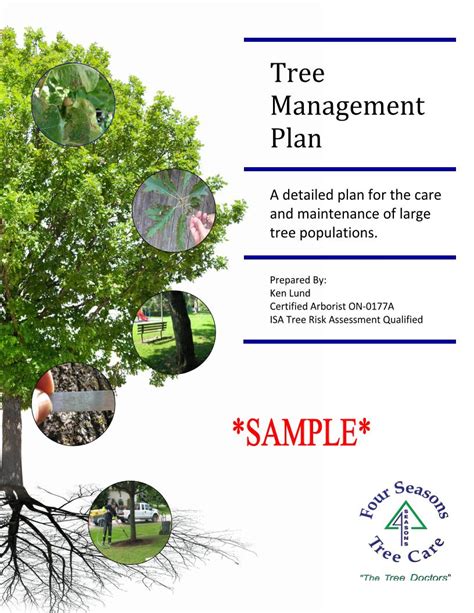 Tree Management Plan Template