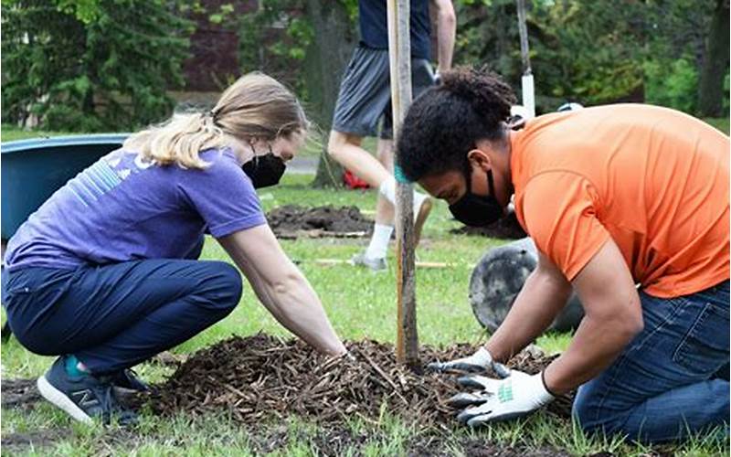 Tree Planting Volunteer Opportunities Near Me With Local Businesses