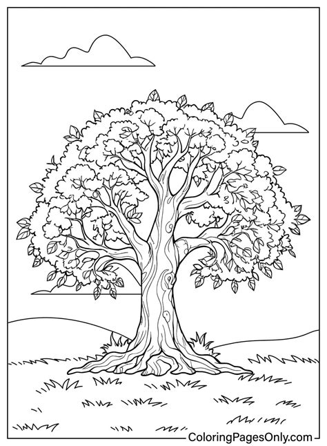 Tree Coloring Pages