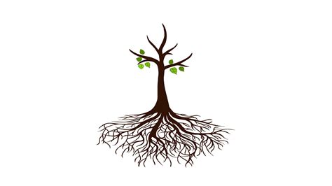 Watch Your Tree Flourish: A Dynamic Tree Growing Animation for All Nature Lovers