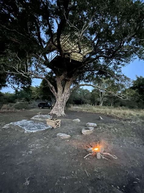 Tree Hut at Starlit Escape