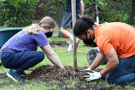 Tree Planting Volunteer Work