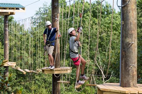 Tree Ropes Course Elements