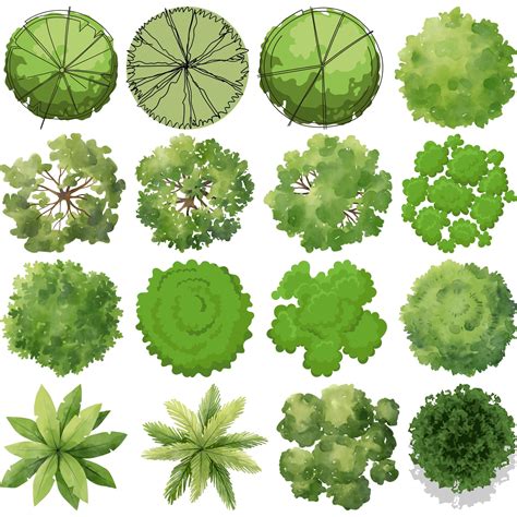 Experience the Majesty of Nature with Tree Top View SVG: Bring Your Designs to Life!