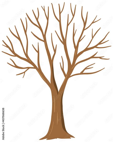 Tree With No Leaves