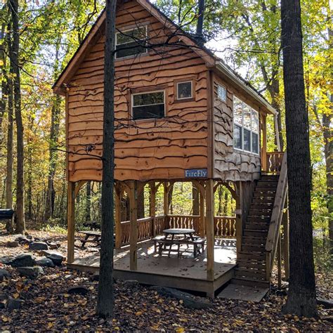 Discover the Enchanted Forest: Plan Your Next Adventure at the Treehouse Camp at Maple Tree