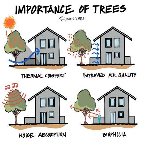 Trees as a Source of Comfort