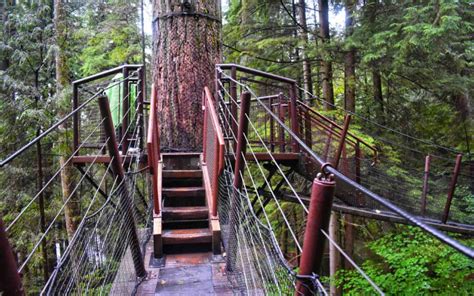 Treetops Adventure Capilano