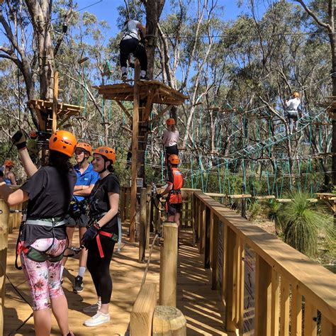Treetops Adventure Reviews