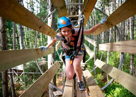 Treetops Adventure Safety