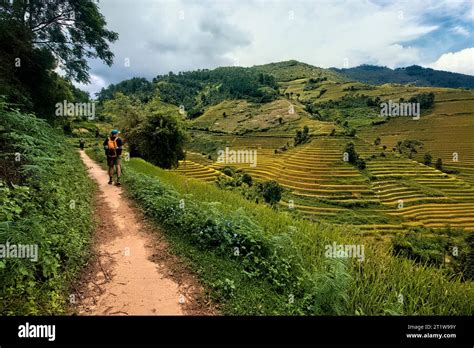 Trekking Through Rice Terraces