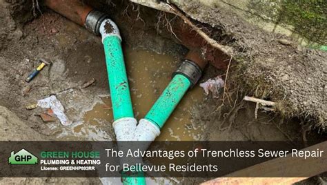 Trenchless Sewer Repair Advantages